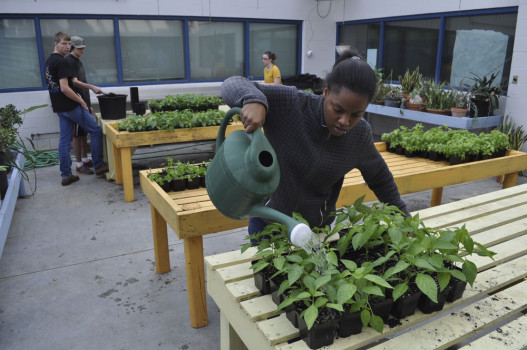 Testing out our Green Thumbs