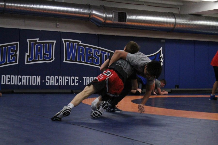 wrestling - Charlene Nguyen20191112_2408