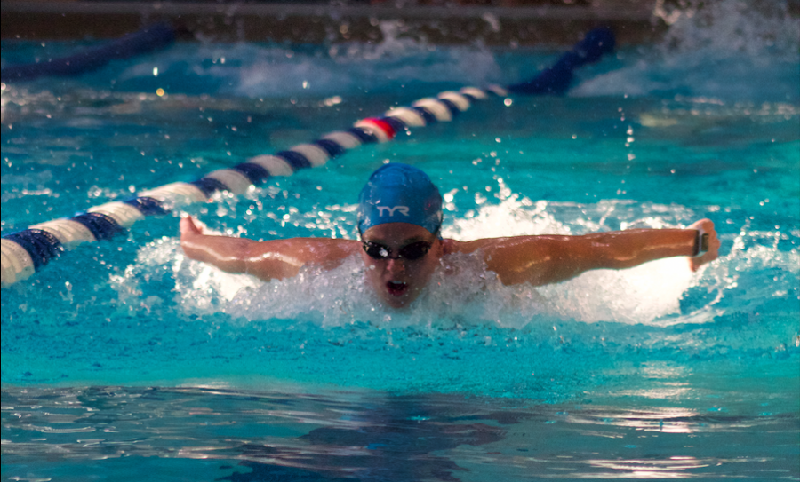 Junior+Ellie+Hartwig+does+the+butterfly+stroke+while+swimming+during+practice.+The+Lady+Jays+swim+and+dive+team+has+had+a+successful+season+so+far+and+is+currently+preparing+for+state.+Photo+by+Ashley+Ritter.