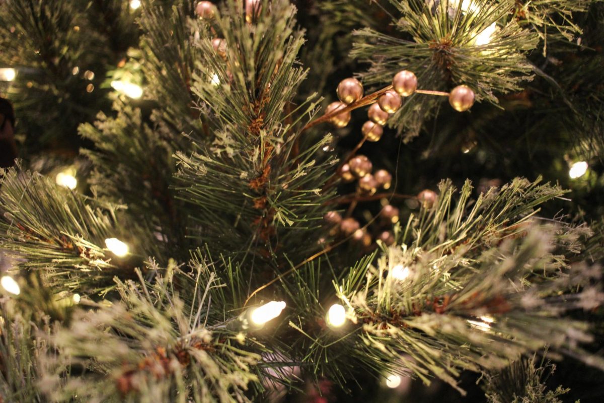 Spreading Christmas Joy