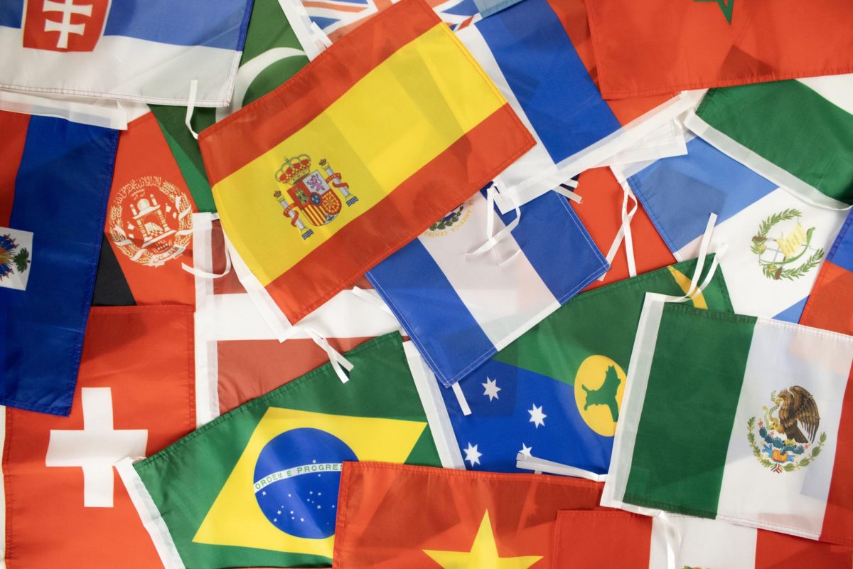 EDited_C_Tiemann_Flag_CollageIMG_9597 copy (1)