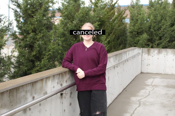 Viral Verdicts